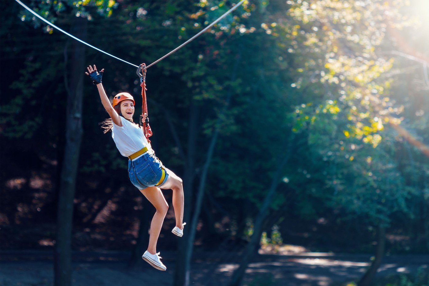 Zip line through the forest